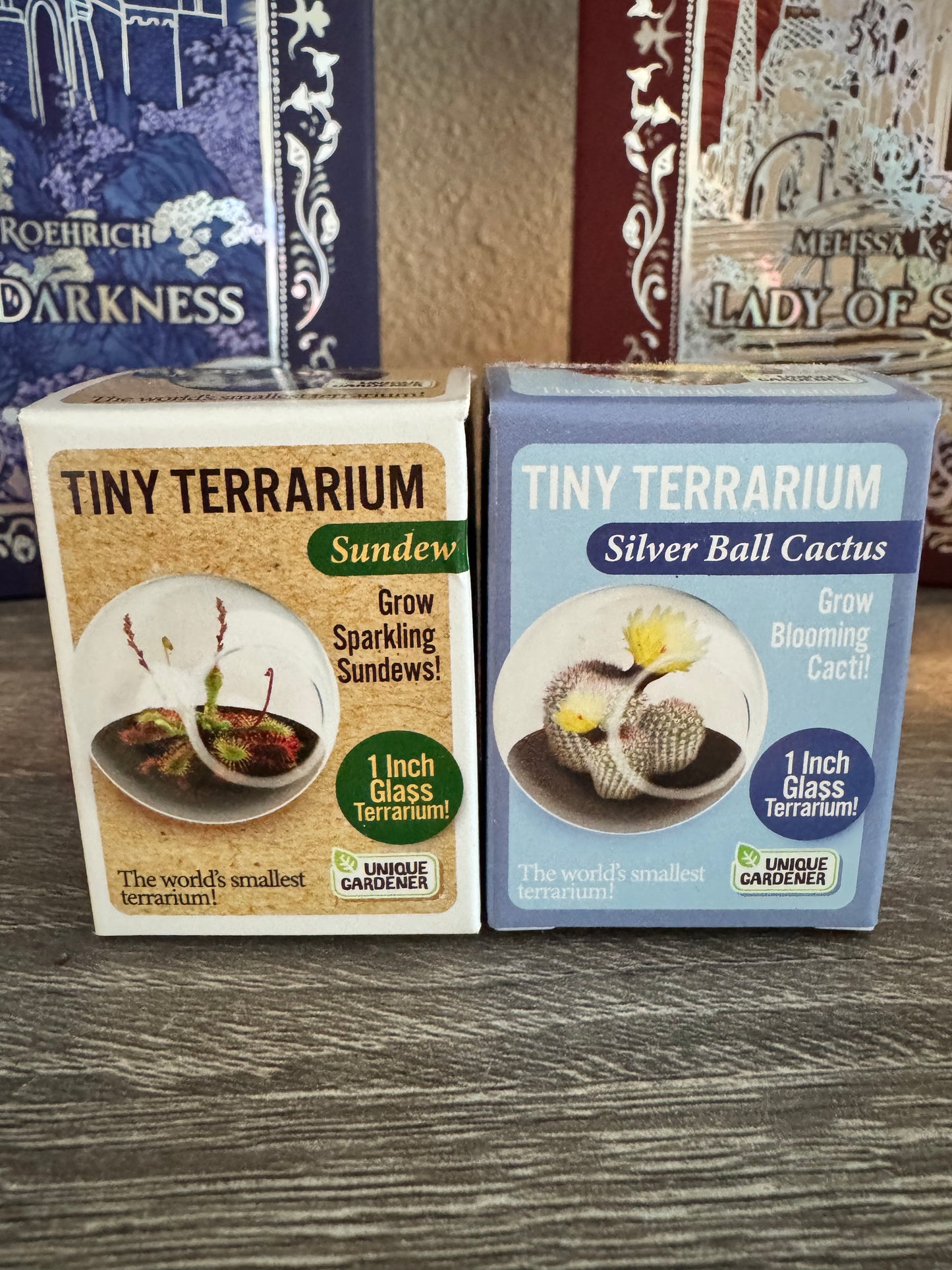 Earth Court Terrariums